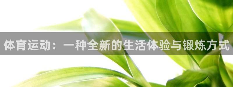 谈球吧