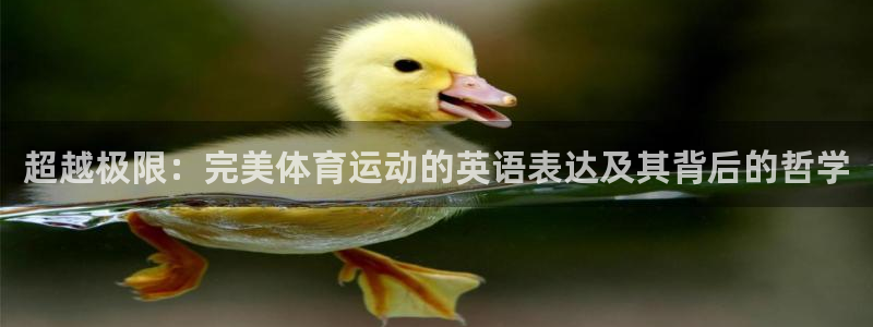 谈球吧体育