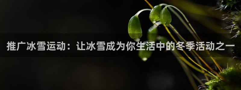 谈球吧体育