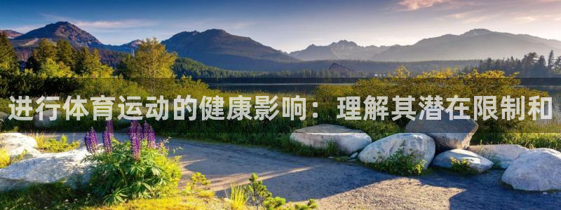 谈球吧