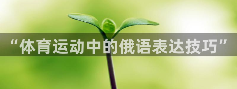 谈球吧