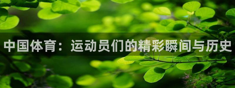 谈球吧体育官网
